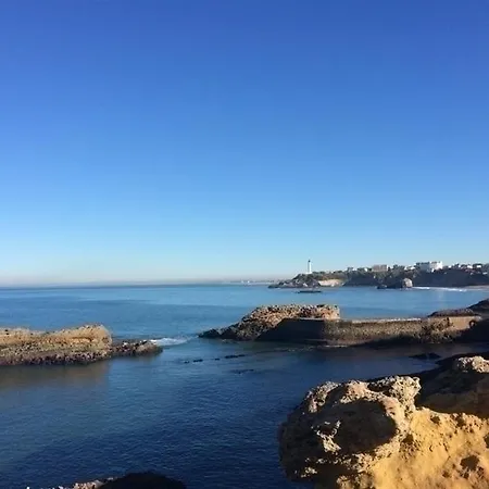 Apartment Alcedo : Petit Cocon A 600m Des Plages